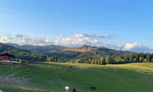 Gazdovstvo Škradné - Vysoká nad Kysucou